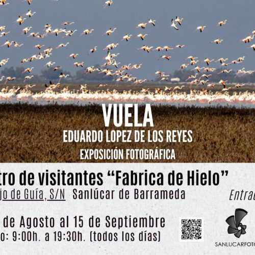 ‘Vuela’, exposición fotográfica de Eduardo López en la Fábrica de Hielo