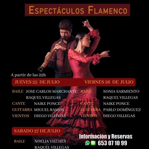 Espectáculos flamencos