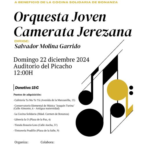 Concierto sinfónico de navidad